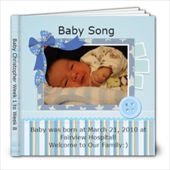 baby bk 1 - 8x8 Photo Book (30 pages)
