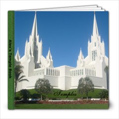 Temple book - 8x8 Photo Book (20 pages)