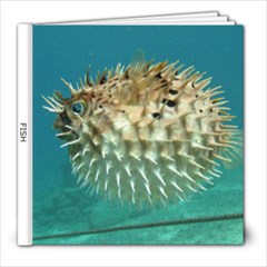 FISH - 8x8 Photo Book (30 pages)