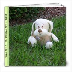 Bennett and Patches Go To The park - 8x8 Photo Book (30 pages)