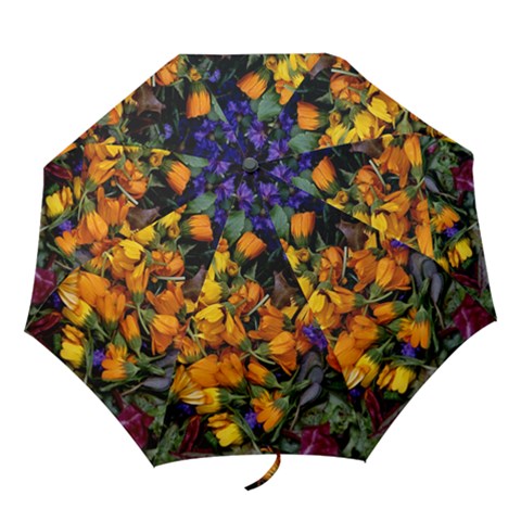 Folding Umbrella 