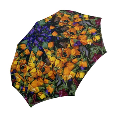 Folding Umbrella 