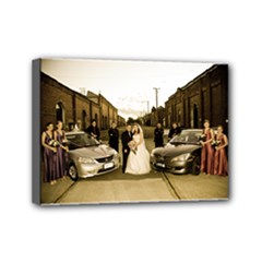 Mini Canvas 7  x 5  (Stretched) 