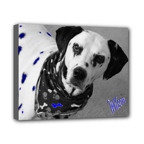 8x10 canvas animal art! - Canvas 10  x 8  (Stretched)