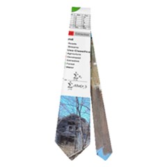 Necktie (Two Side) 