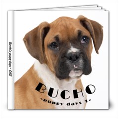 bucho - 8x8 Photo Book (20 pages)