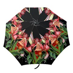 My umbrella - Folding Umbrella