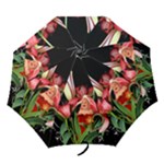 My umbrella - Folding Umbrella
