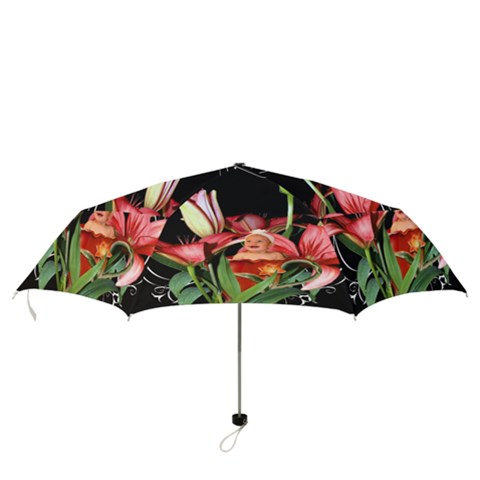 Folding Umbrella 