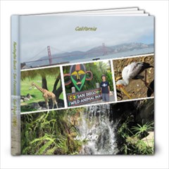 California July 2010 - 8x8 Photo Book (20 pages)