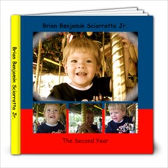 The Second Year - 8x8 Photo Book (20 pages)
