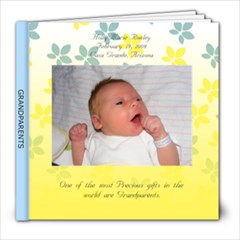 holly grandparents - 8x8 Photo Book (20 pages)