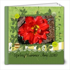 spring/summer photo book - 8x8 Photo Book (20 pages)