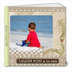Sanibel Island 2010 - 8x8 Photo Book (20 pages)