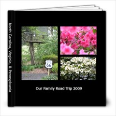 NC 2009 - 8x8 Photo Book (20 pages)