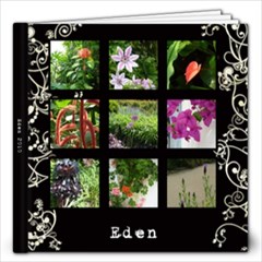 Eden 2010  - 12x12 Photo Book (20 pages)