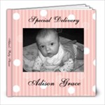 Adison s shower - 8x8 Photo Book (20 pages)