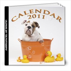 Kalendar_GINO - 8x8 Photo Book (20 pages)