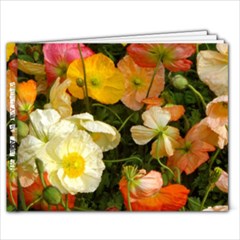 Photography By Rachel - 9x7 Photo Book (20 pages)