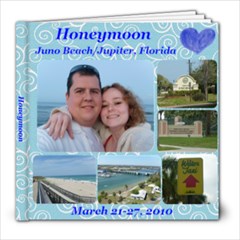 Honeymoon Album - 8x8 Photo Book (39 pages)