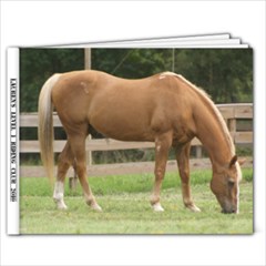 Lauren s Riding Lessons 2010 - 9x7 Photo Book (20 pages)