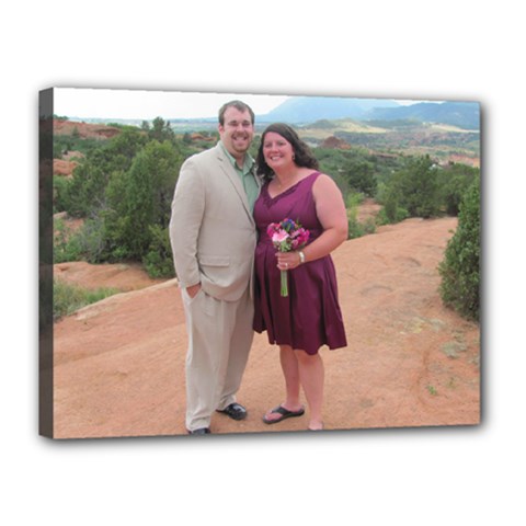 David and Mel Co Springs - Canvas 16  x 12  (Stretched)