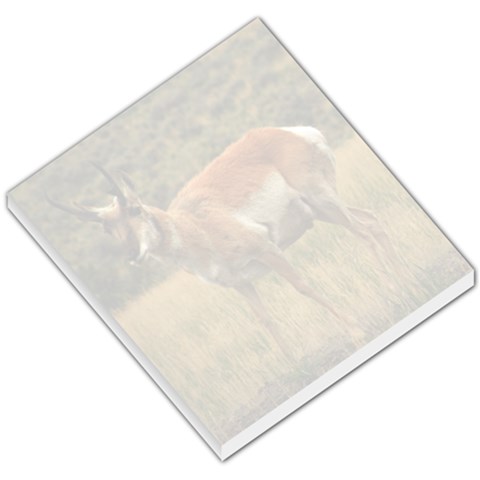 Pronghorn Memo Pad By Brittney