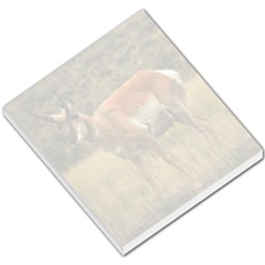 Pronghorn memo pad - Small Memo Pads