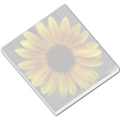 notepad - Small Memo Pads