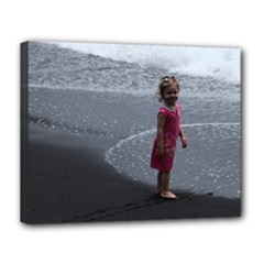 Canvas 14  x 11  (Stretched) 