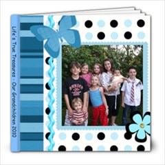 Grandchildren 2010 - 8x8 Photo Book (39 pages)