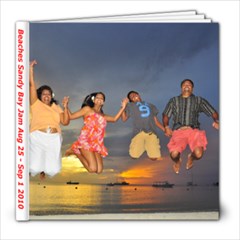 beaches - 8x8 Photo Book (20 pages)
