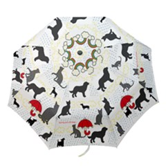raining cats and dogs - Folding Umbrella
