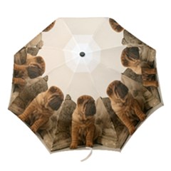Four Drawers - Folding Umbrella