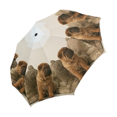 Folding Umbrella 