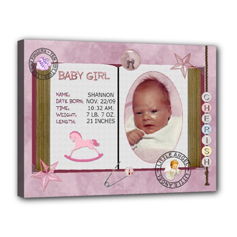 Newborn Baby Girl 16x12 Stretched Canvas - Canvas 16  x 12  (Stretched)