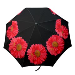 Painted Daisy Umbrella - Folding Umbrella