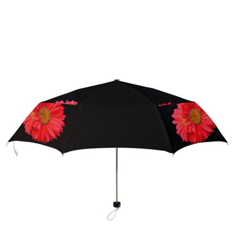 Folding Umbrella 