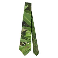 Necktie (Two Side) 