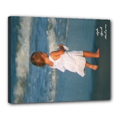 Canvas 20  x 16  (Stretched) 
