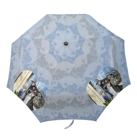 Folding Umbrella 