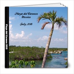 2010 Playa del Carmen Mexico - 8x8 Photo Book (39 pages)