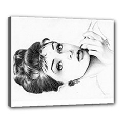 Canvas 20  x 16  (Stretched) 