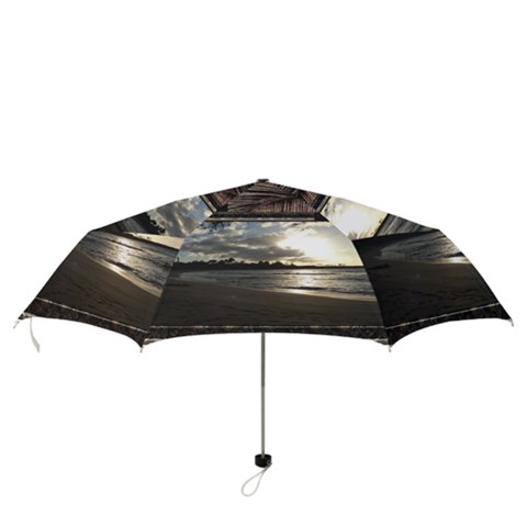 Folding Umbrella 