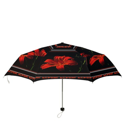 Folding Umbrella 