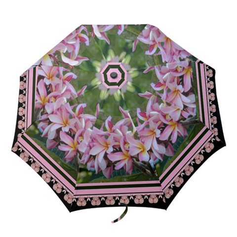 Folding Umbrella 