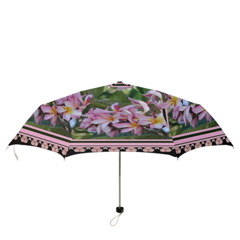 Folding Umbrella 