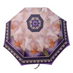 Fluffy Iris w/ Border folding umbrella