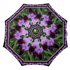 Iris Umbrella 0342 sam212 star - Straight Umbrella