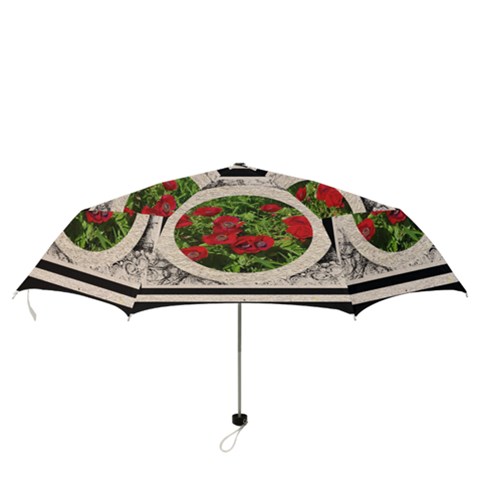 Folding Umbrella 